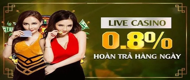 Khám Phá Chính Sách Hoàn Trả Không Giới Hạn Tại iBet88